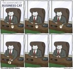 business cat.jpg