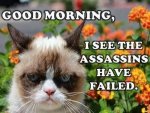 Assassins Failed.jpg