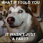 what-if-i-told-you-it-wasnt-just-a-fart...-dog-fart-meme-1024x1024.jpeg