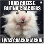 Cracka-Lackin__GIF.gif