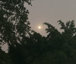 IMG_1274.JPG