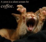 Silent Scream For Coffee.jpg