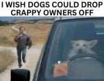crappy dog owner.jpg