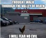 Chicken at KFC 39iuyg.jpg