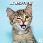 Hilarious-Cat-Memes-3.jpg