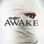 Skillet.jpg