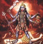 kali1.jpg