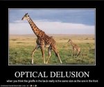 giraffe.jpg