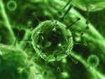 virus.jpg