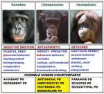 Primates_chimps.jpg Primates_chimps.jpg