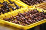 Eating_Insects_For_Food_popgive_2.jpg