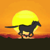 horse_sunset_run_animated_avatar_100x100_93052.gif