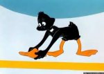 daffy5.jpg