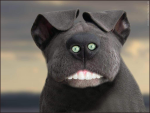 1726856300226.png 1726856300226.png