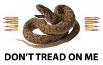 Don't Tread On Me.jpg