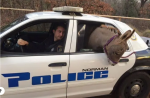 Screenshot 2024-11-15 at 04-59-18 Squishy The Wayward Donkey That Rode In A Police Car Is Back...png