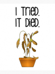 1733173226726.png 1733173226726.png