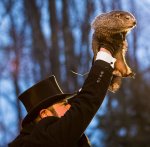 Punxsutawney_Phil_2018_(cropped).jpg