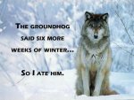 Groundhog bad news.jpg