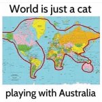 world is a cat playing ball 2025-03-08_10-51-15.jpg