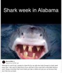 1741990861236.png 1741990861236.png