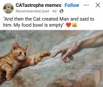 1743044035693.jpeg