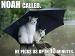 noah.jpg