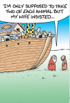 Noah cats.png
