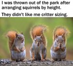 critter sizing.jpg