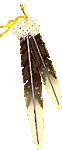2feathers.gif 2feathers.gif