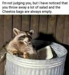 cheetos.jpeg