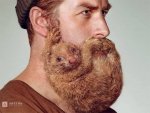 beard2.jpg