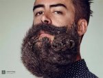 beard3.jpg