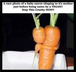 IMG_0077.jpeg
