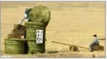 hay ride.jpg