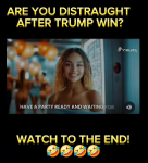 1745447221964.png