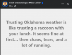 raccoon weather.png