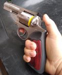 GP100 in hand.jpg