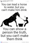 1746210394397.png