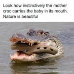 1746213196208.jpeg