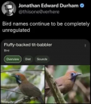 1746438348185.png