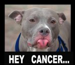 cc cancer.jpg