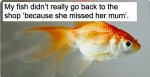 IMG_7163.jpeg