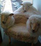 strange-chair2_rPOH4_48.jpg