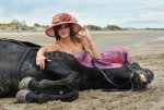 1264431_stock-photo-girl-and-horse-on-the-beach.jpg 1264431_stock-photo-girl-and-horse-on-the-beach.jpg