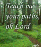 paths4.gif paths4.gif