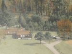 hollybush 003.JPG
