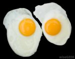 fried-eggs.jpg