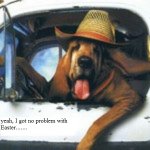 Truck-Driver-Dog-150x150.jpg