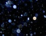 orbs.jpg orbs.jpg